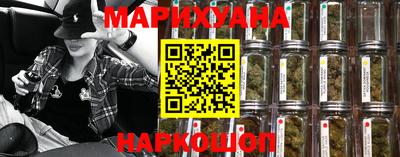 крисы Кулебаки