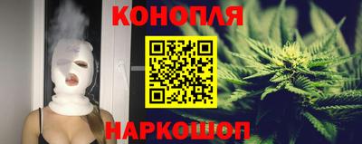 крисы Кулебаки