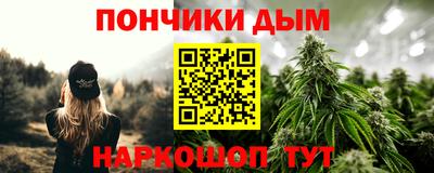 крисы Кулебаки