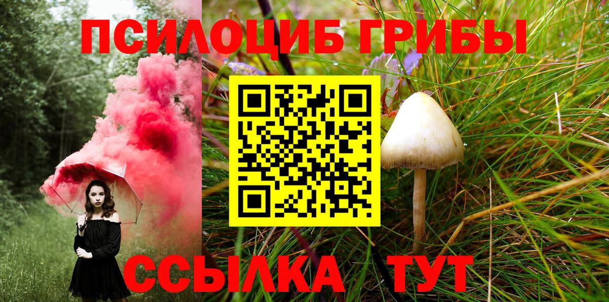 Псилоцибиновые грибы Magic Shrooms Железноводск