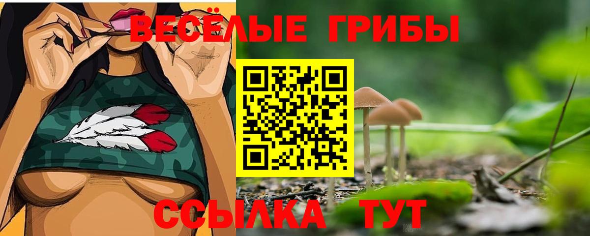 Псилоцибиновые грибы GOLDEN TEACHER  Галлюциногенные грибы Psilocybine cubensis  Железноводск  Вход с VPN 